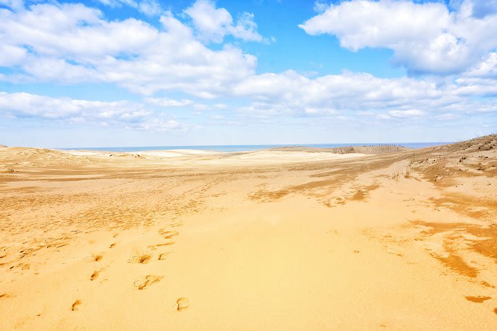 From Osaka: Tottori Sand Dunes 1-Day Bus Tour with Lunch image