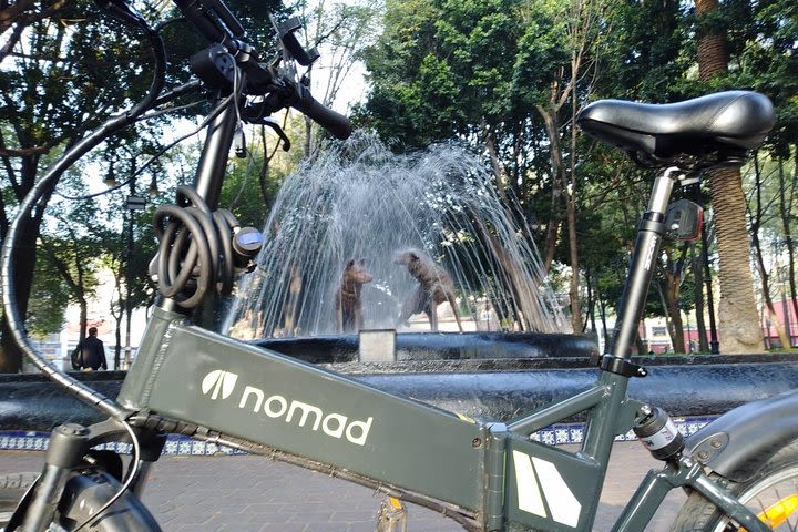 COYOACAN on e-bike tour image