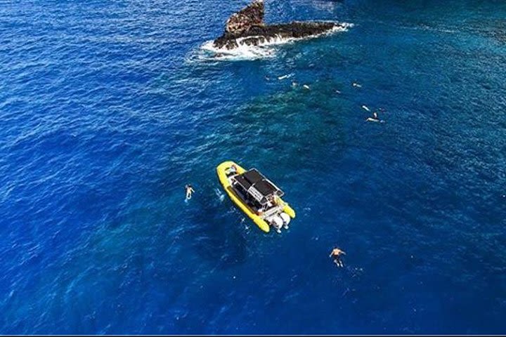 4-Hour Lanai Snorkel Dolphin Express Tour from Lahaina Harbor image