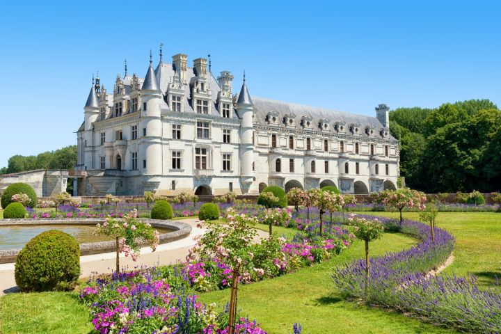 Chenonceau Castle Half Day Trip from Tours (shared) image