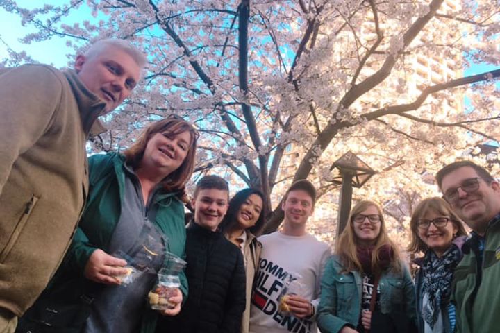 Evening Hanami (Cherry Blossom) Experience with a Local image