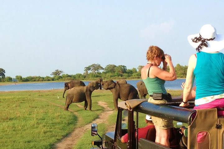 7-Day Sri Lanka Adventure Tour image