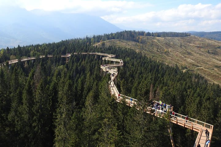 From Kraków: Slovakia Treetop Walk Bachledka and Zakopane image