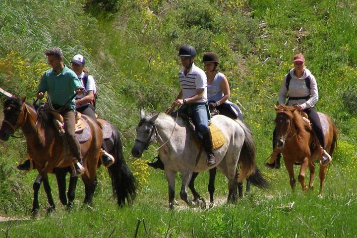 Adventure Horse Riding From Kusadasi / Selcuk Hotels image