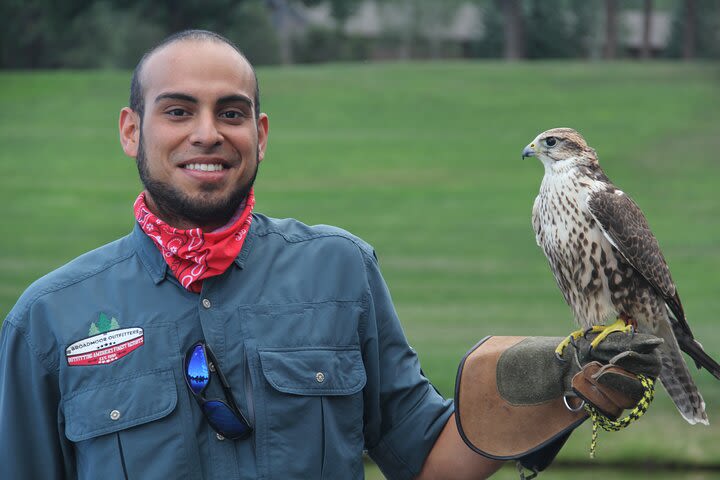 Colorado Springs Hands-On Falconry Class and Demonstration image