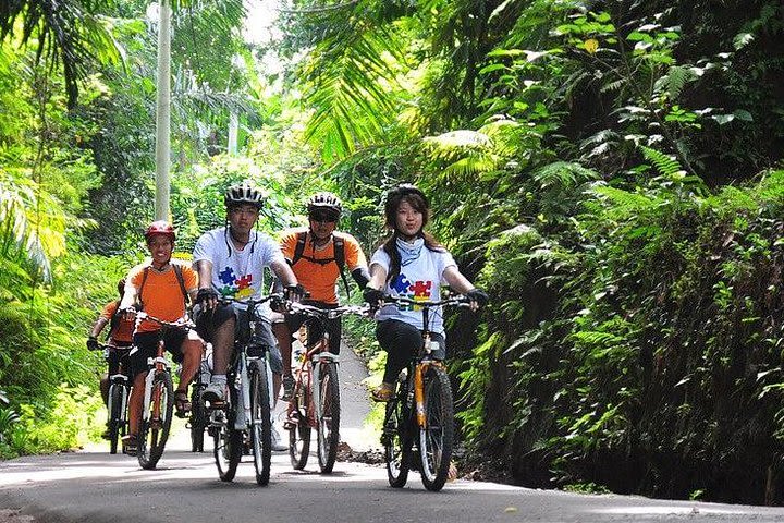 Bali Countryside Cycling and ATV Ride Packages image