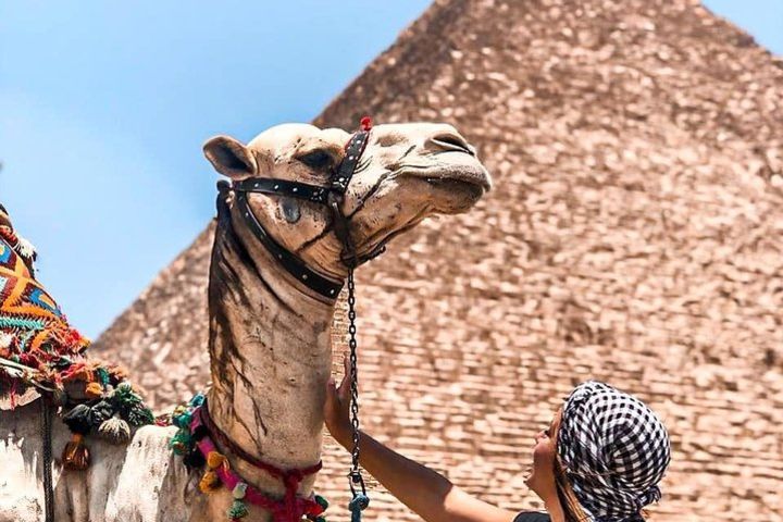 Cairo City Tour to the Egyptian Museum, Citadel & Old Cairo image