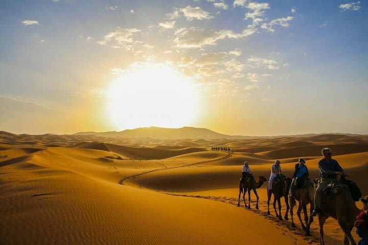 Sunset Camel Trek - M'Hamid El Ghizlane image