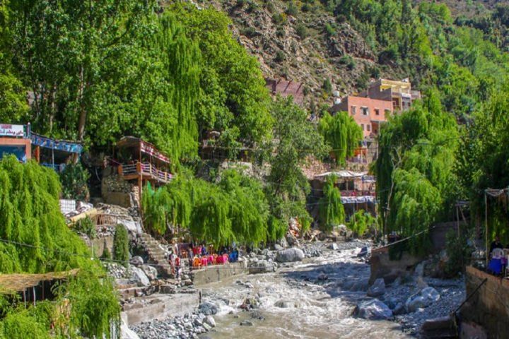 Ourika Valley Full-Day Trip from Marrakech image