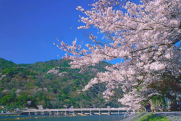 Sagano Romantic Train & Arashiyama, Kiyomizudera, Fushimi Inari Taisha Day Tour image