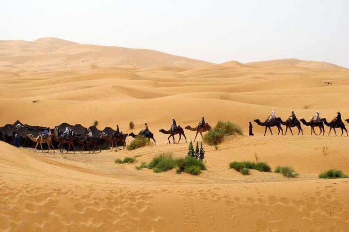 Fes to Marrakech 3 days desert tour image