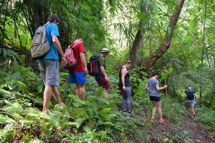 Full-Day Hike and Bike Tour in Mae Sa Valley from Chiang Mai image