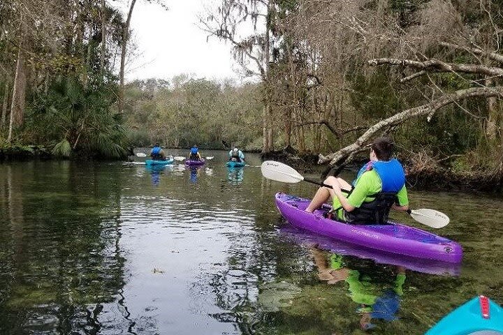 Chassahowitzka River Wildlife Kayak Tour image