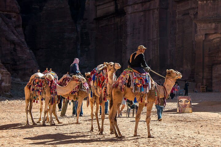 7 Days Jordan Sightseeing Tour image