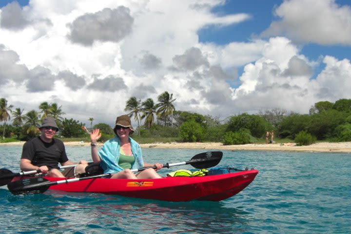 Mangrove Clear Bottom Kayaking image