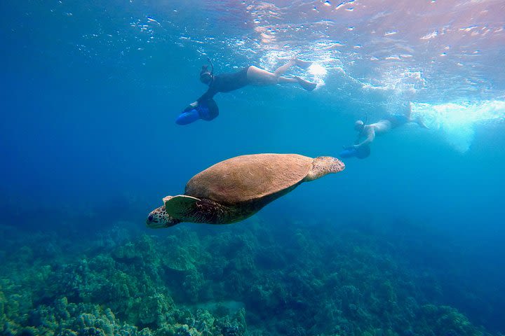 Sea Scooter Snorkeling Tour at Wailea Beach image