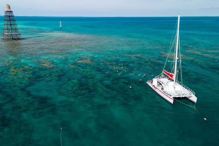 Key West Reef Snorkeling with Breakfast & Unlimited Mimosas  image