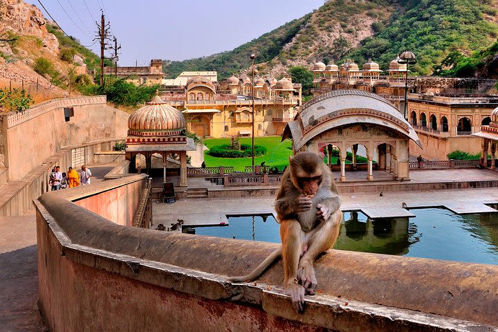 Hidden Gems of Jaipur with a local (Guided Half Day City Tour in AC Car) image