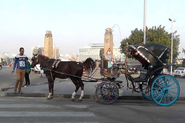 Private Cairo City Tour Day or Night include Meal and Carriage Horse image