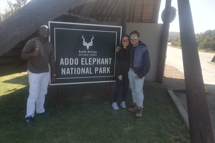 Addo Elephant National Park Day Tour from Port Elizabeth  image