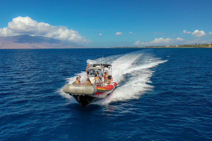 Molokini Crater plus Turtle Town Snorkeling 4-hour Tour image