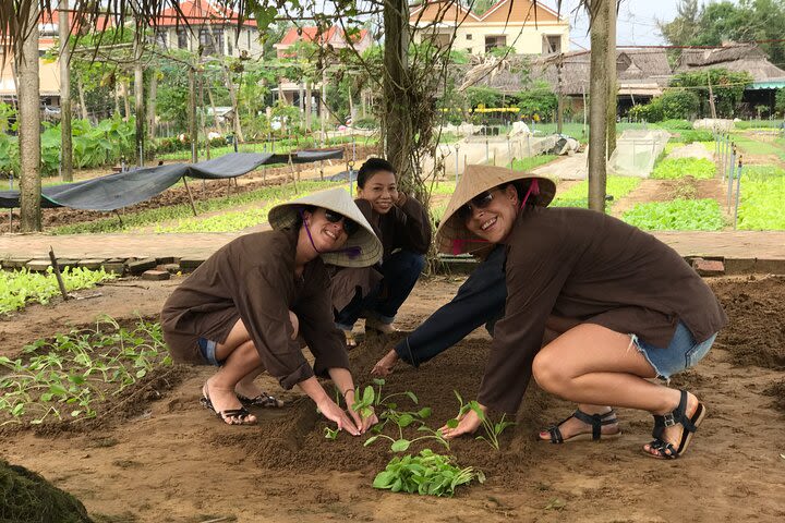 Become a Farmer at Tra Que Vegetable Village included cooking class and Foot Massage image