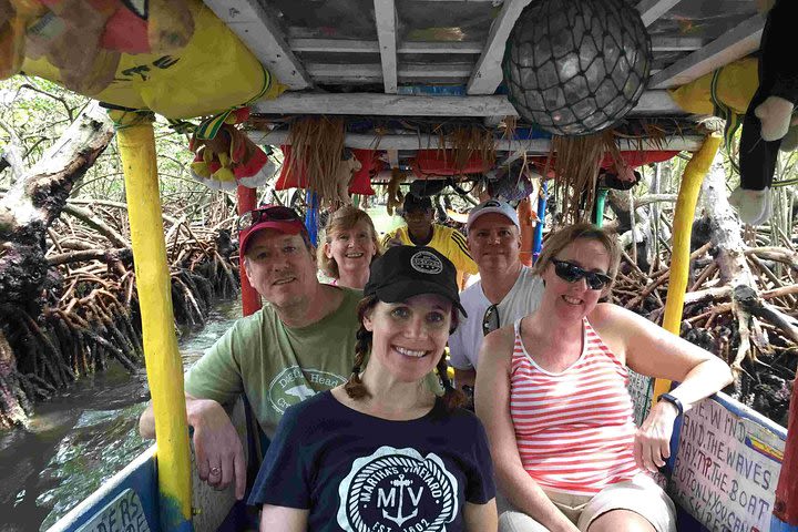 Roatan Ultimate Nature Combo: Mangrove Cruise, Horseback Riding, Beach & Snorkel image