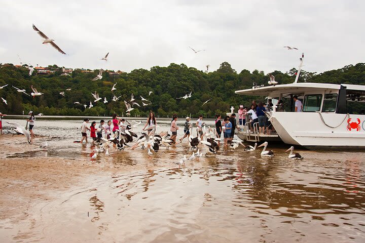 Catch a Crab Tour with Optional Seafood Lunch image