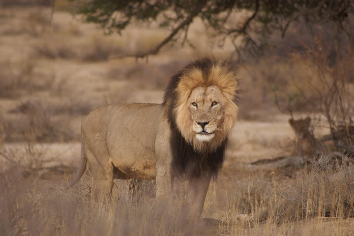 6 Day Private Guided Accommodated Namibian Loop  image