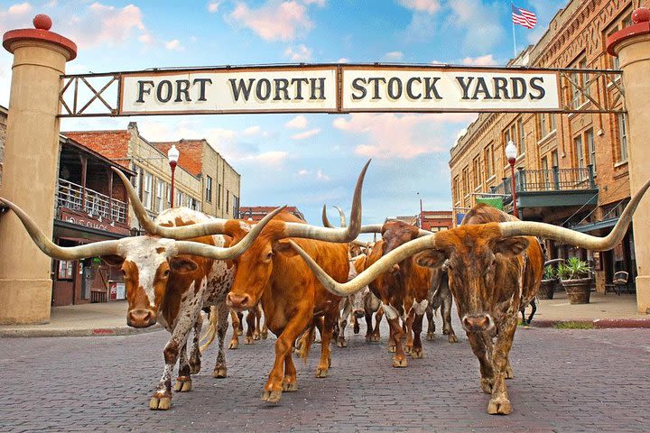 Fort Worth Highlights Tour image