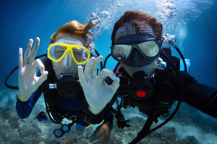 Scuba Diving for Beginners from Kemer image