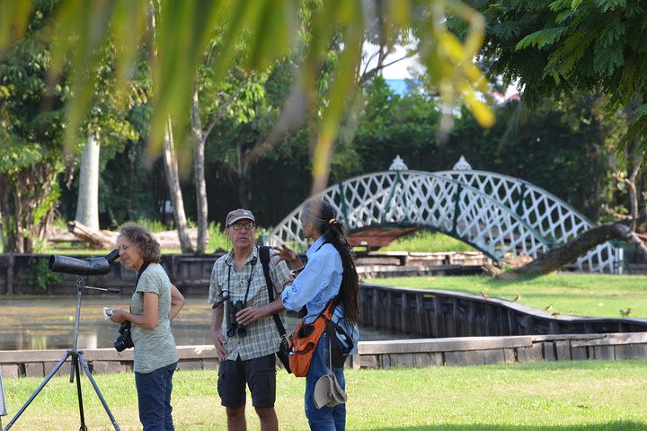 8-Day Rupununi Savanna and Kaieteur Water Falls Adventure from Georgetown image