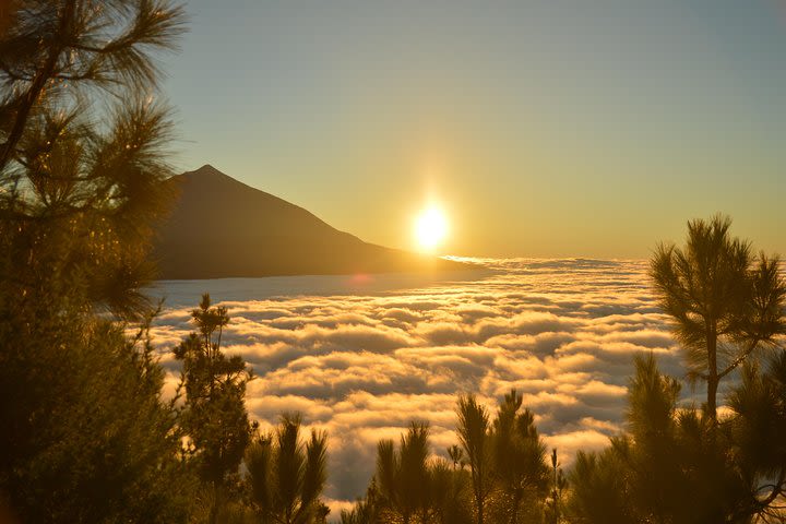 PRIVATE TOUR Teide National Park: Hiking and Stargazing image