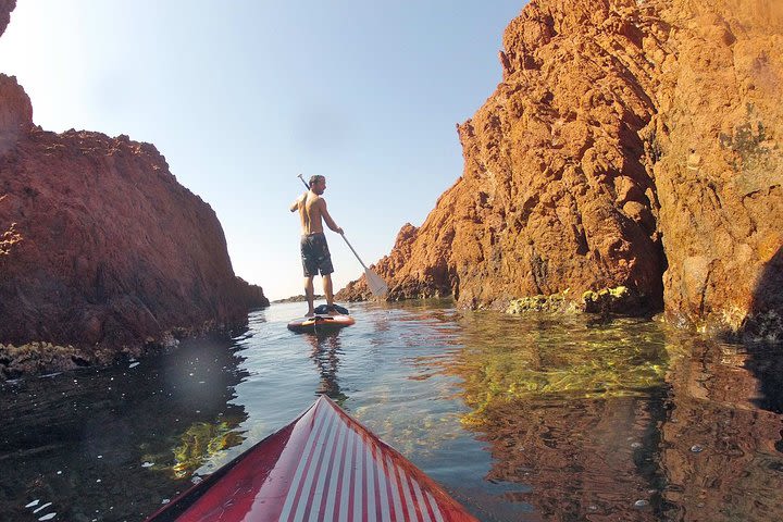 Stand-Up Paddle on Sea in Nice with Guide image