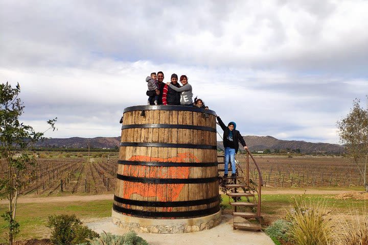 San Ysidro / Guadalupe Valley / Ensenada / Rosarito / San Ysidro image