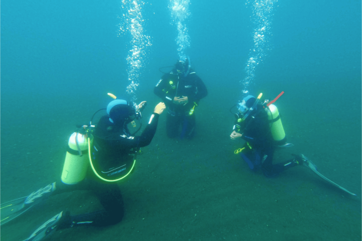 Tour de Buceo en el Lago Calafquén para Certificados image