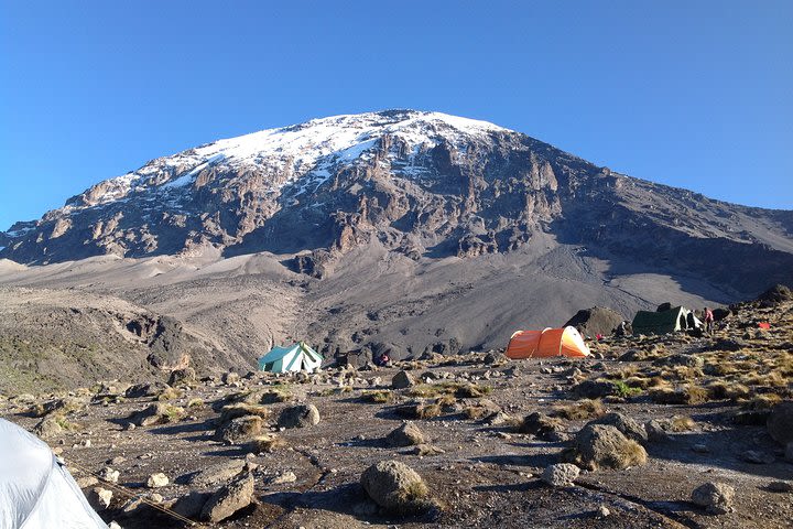 7-Day Lemosho Route Hiking in Kilimanjaro image