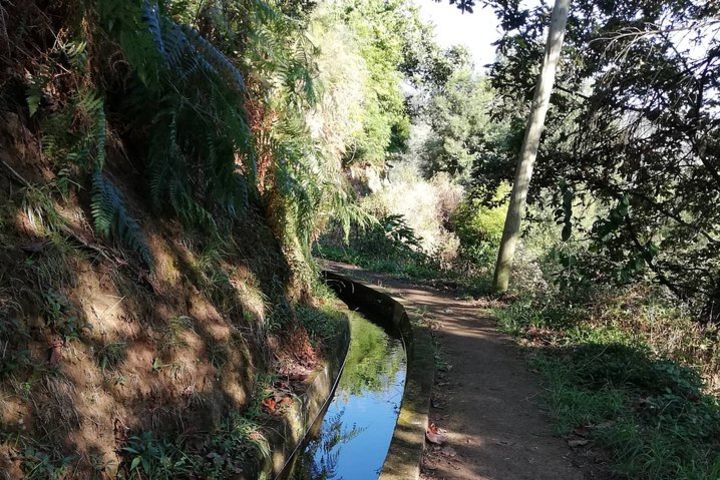 Levada da Referta - Castelejo image