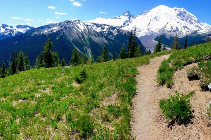 Hike Mt. Rainier & Taste Yakima Valley Wine: All-Inclusive Day Tour from Seattle image
