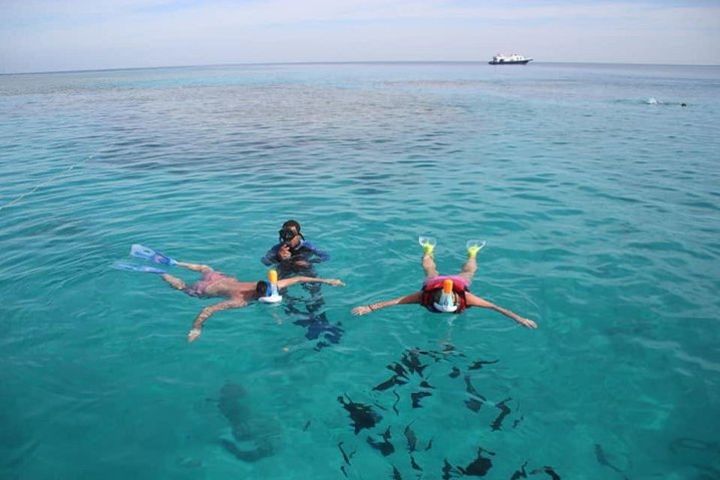 Giftun Island boat trip image