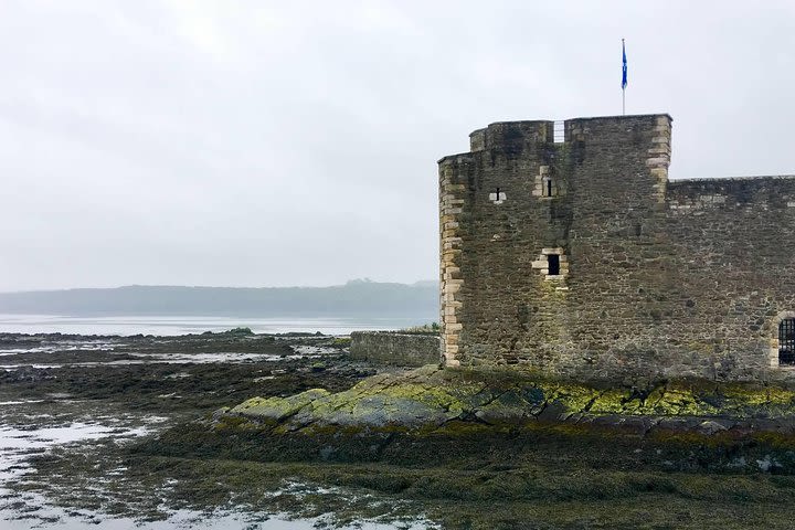 Mary Queen of Scots and the Royal Family in Scotland image