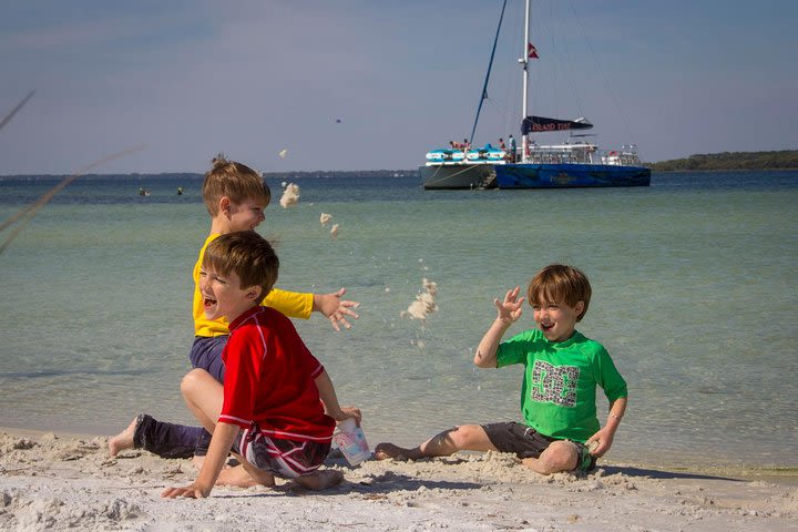 Shell Island Snorkel & Dolphin Catamaran Cruise with Island Time Sailing image