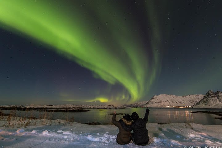 Northern Lights Chase  image