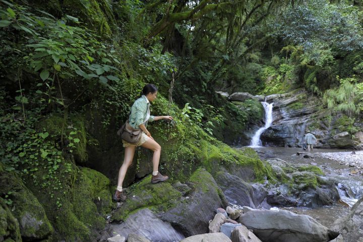 Yungas and El Rey National Park 4x4 Full Day Tour from Salta image