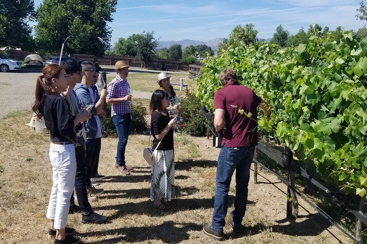 Private Santa Ynez Wine Country Guided Tour from Santa Barbara image