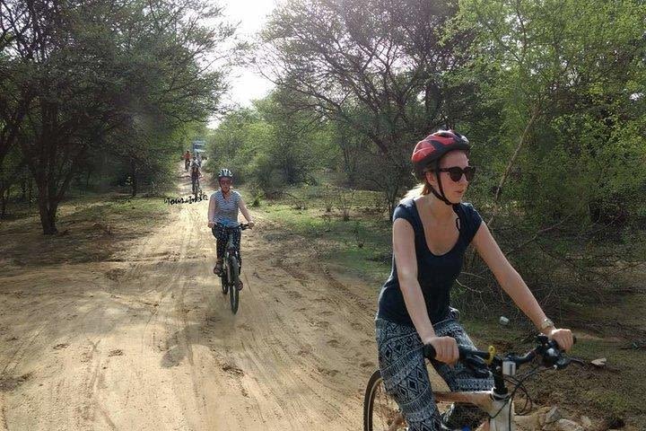 Rustic Agra Cycle Tour with SAM image