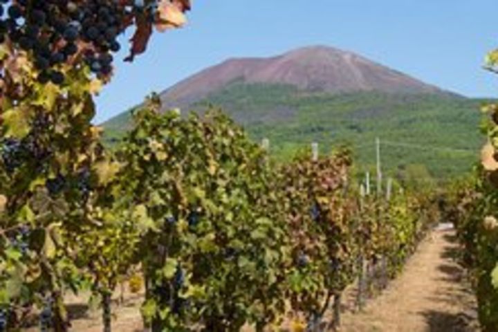 Vesuvius & Vineyard select from Sorrento image