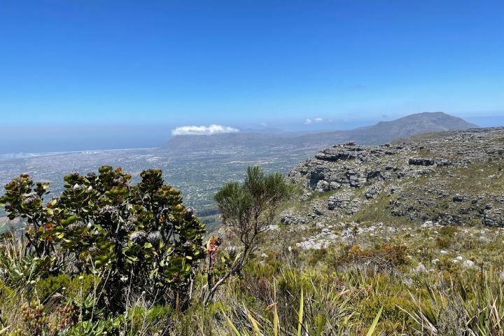 Table Mountain Private Hike Tour of Kasteelpoort Route from Cape Town image