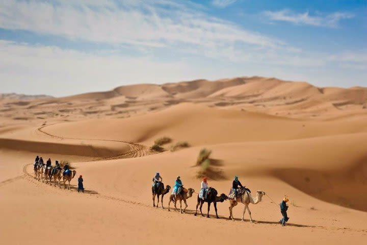 4x4 and Camel Trekking through the Sahara Desert image