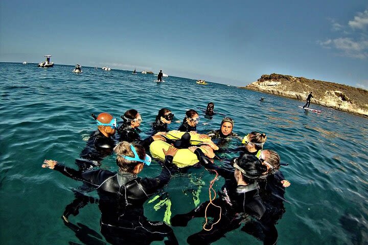 First Level Freediving Course in La Caleta de Adeje image